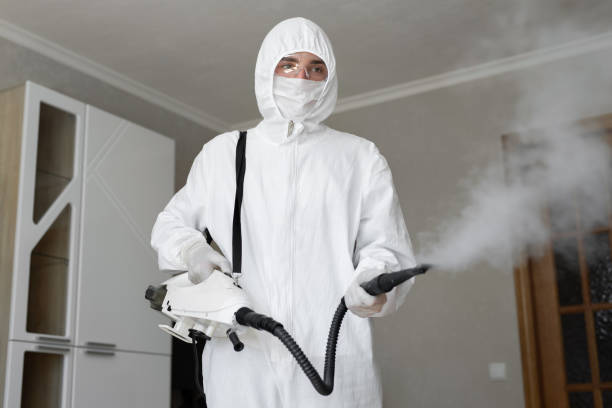 Environmental Consulting for Mold Prevention